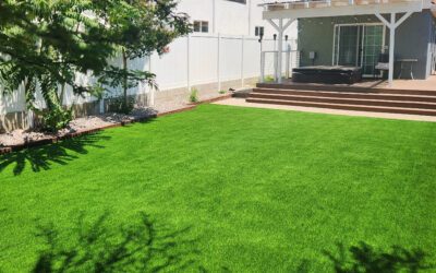 New Year, New Yard: Why Artificial Grass is the Perfect Upgrade