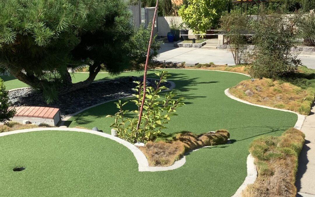 Putting Green Turf