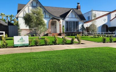 Why Artificial Grass is the Best Thing for Your Yard (and Your Life!)